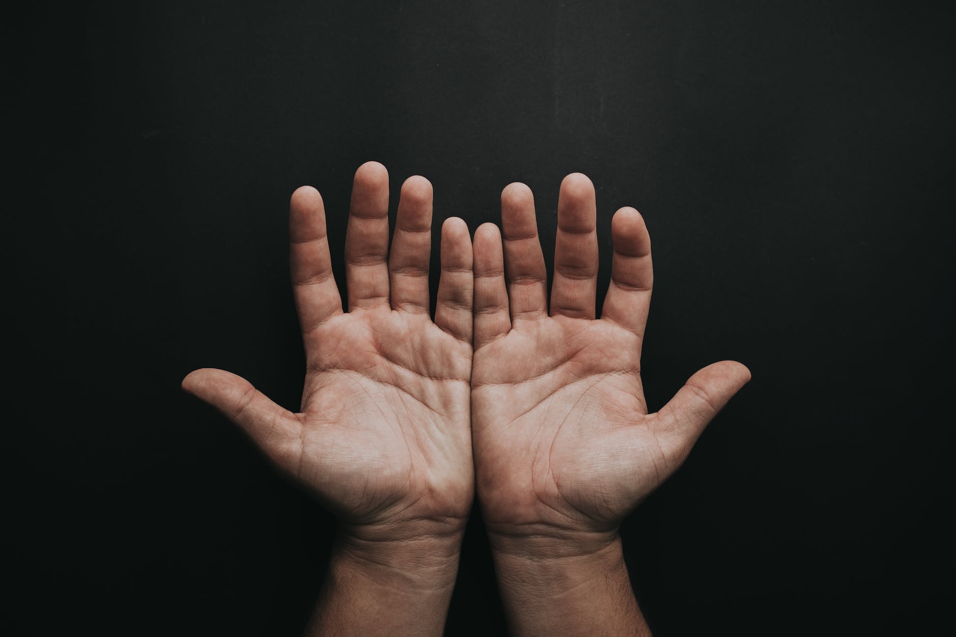 photo of person s open hands